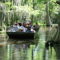 Honey Island Swamp Tours